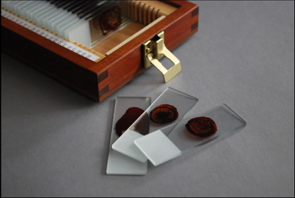 Handcrafted Trophy Case & 46 Blood Stained Slides