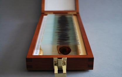 Handcrafted Trophy Case & 46 Blood Stained Slides